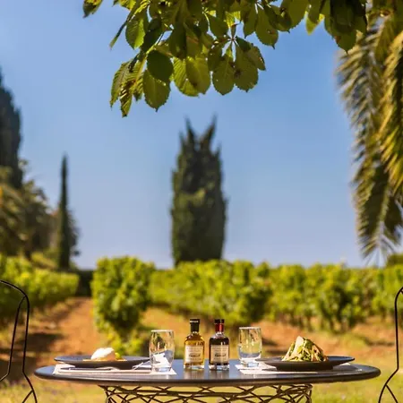Chateau De Valmer 5*