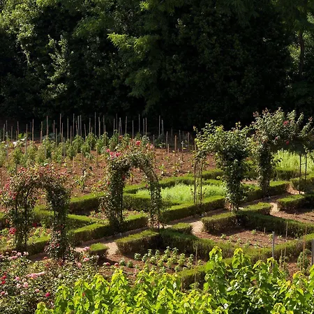 Chateau De Valmer Hotel 5*