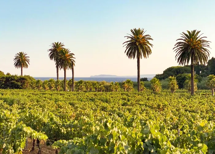 Chateau De Valmer 5* La Croix-Valmer