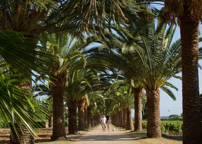 Chateau De Valmer La Croix-Valmer