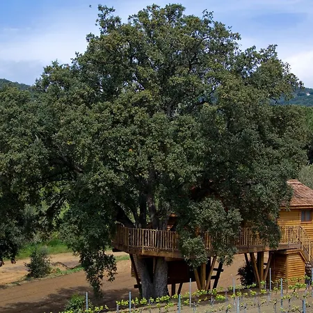 Château De Valmer 5*