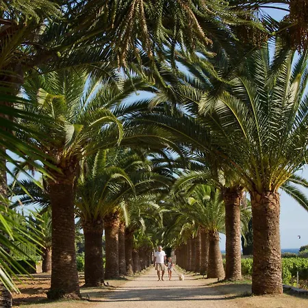 Chateau De Valmer 라크루아발메르