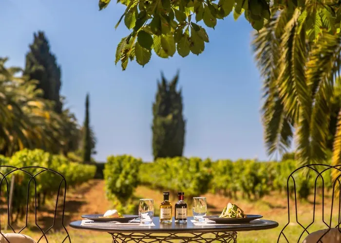 Chateau De Valmer 5*